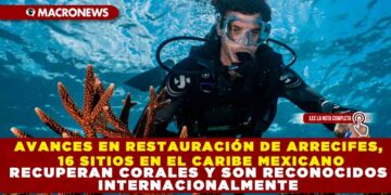 AVANCES EN RESTAURACIÓN DE ARRECIFES, 16 SITIOS EN EL CARIBE MEXICANO RECUPERAN CORALES Y SON RECONOCIDOS INTERNACIONALMENTE
