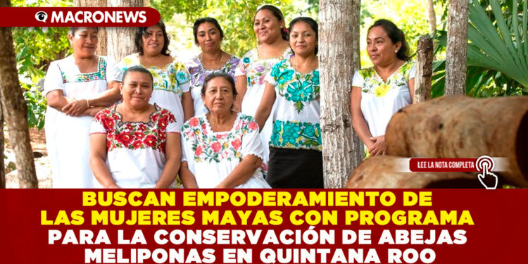 BUSCAN EMPODERAMIENTO DE LAS MUJERES MAYAS CON PROGRAMA PARA LA CONSERVACIÓN DE ABEJAS MELIPONAS EN QUINTANA ROO