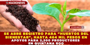 SE ABRE REGISTRO PARA «HUERTOS DEL BIENESTAR», HASTA 464 MIL PESOS EN APOYOS PARA 2,200 PRODUCTORES EN QUINTANA ROO