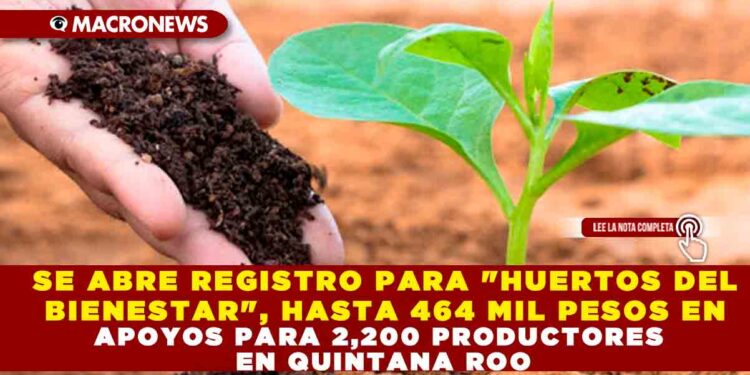 SE ABRE REGISTRO PARA «HUERTOS DEL BIENESTAR», HASTA 464 MIL PESOS EN APOYOS PARA 2,200 PRODUCTORES EN QUINTANA ROO
