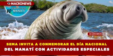 SEMA INVITA A CONMEMORAR EL DÍA NACIONAL DEL MANATÍ CON ACTIVIDADES ESPECIALES