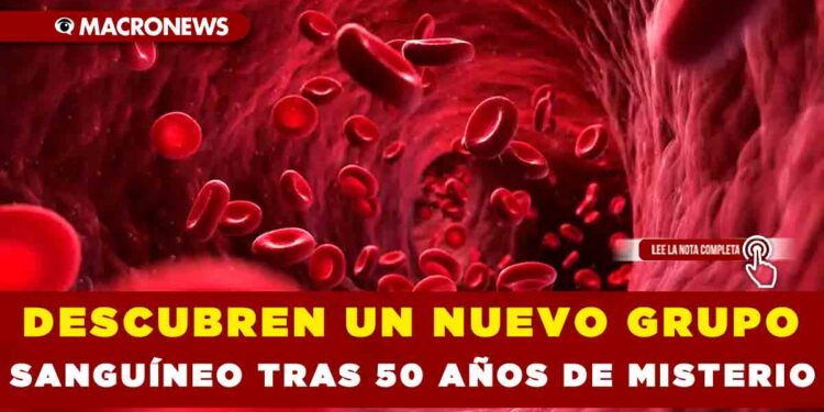 DESCUBREN UN NUEVO GRUPO SANGUÍNEO TRAS 50 AÑOS DE MISTERIO