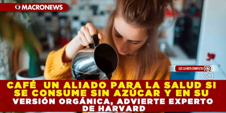 CAFÉ  UN ALIADO PARA LA SALUD SI SE CONSUME SIN AZÚCAR Y EN SU VERSIÓN ORGÁNICA, ADVIERTE EXPERTO DE HARVARD.