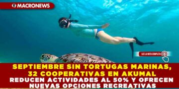 SEPTIEMBRE SIN TORTUGAS MARINAS, 32 COOPERATIVAS EN AKUMAL REDUCEN ACTIVIDADES AL 50% Y OFRECEN NUEVAS OPCIONES RECREATIVAS