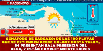 SEMÁFORO DE SARGAZO: DE LAS 100 PLAYAS QUE SE EXTIENDEN DESDE HOLBOX HASTA TULUM, 84 PRESENTAN BAJA PRESENCIA DEL ALGA, 7 ESTÁN COMPLETAMENTE LIBRES 