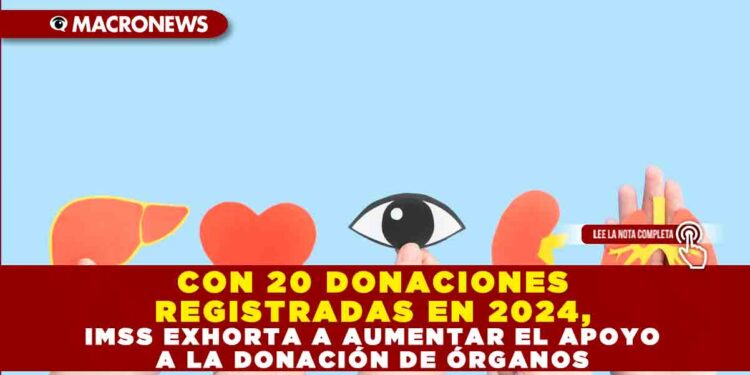 CON 20 DONACIONES REGISTRADAS EN 2024, IMSS EXHORTA A AUMENTAR EL APOYO A LA DONACIÓN DE ÓRGANOS