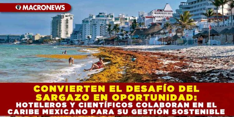 CONVIERTEN EL DESAFÍO DEL SARGAZO EN OPORTUNIDAD: HOTELEROS Y CIENTÍFICOS COLABORAN EN EL CARIBE MEXICANO PARA SU GESTIÓN SOSTENIBLE