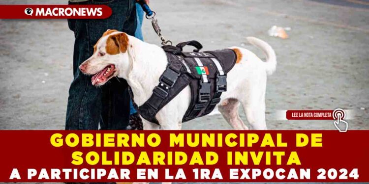 GOBIERNO MUNICIPAL DE SOLIDARIDAD INVITA A PARTICIPAR EN LA 1RA EXPOCAN 2024