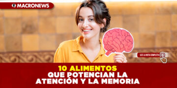 10 ALIMENTOS QUE POTENCIAN LA ATENCIÓN Y LA MEMORIA
