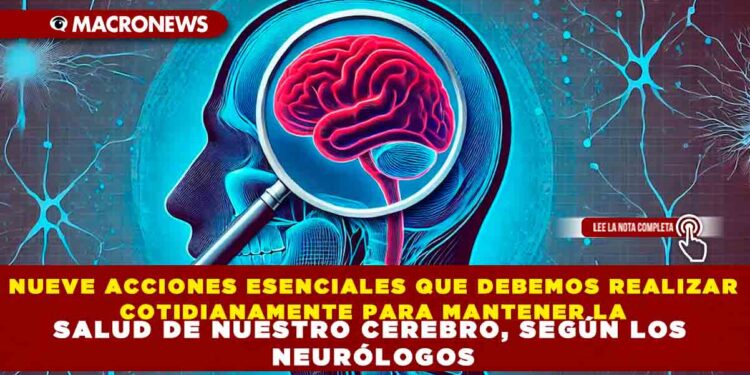 NUEVE ACCIONES ESENCIALES QUE DEBEMOS REALIZAR COTIDIANAMENTE PARA MANTENER LA SALUD DE NUESTRO CEREBRO, SEGÚN LOS NEURÓLOGOS