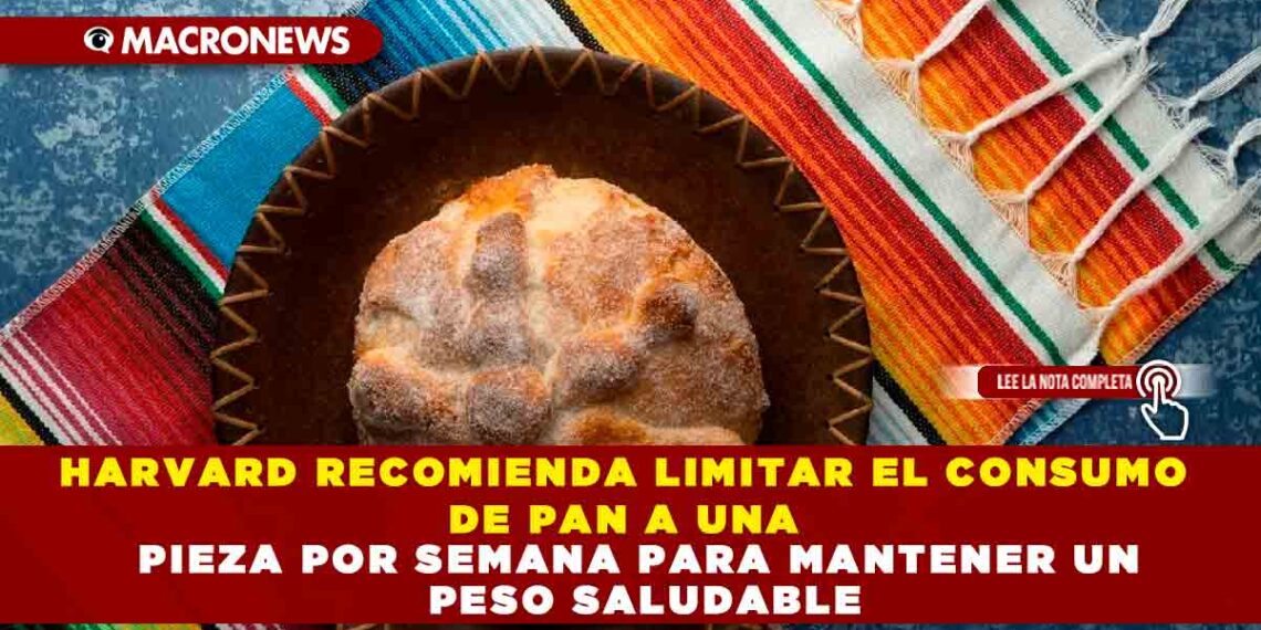 HARVARD RECOMIENDA LIMITAR EL CONSUMO DE PAN A UNA PIEZA POR SEMANA PARA MANTENER UN PESO SALUDABLE