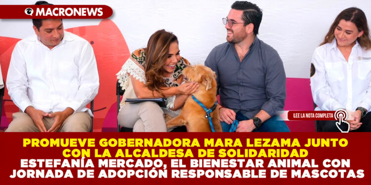 PROMUEVE GOBERNADORA MARA LEZAMA JUNTO CON LA ALCALDESA DE SOLIDARIDAD ESTEFANÍA MERCADO, EL BIENESTAR ANIMAL CON JORNADA DE ADOPCIÓN RESPONSABLE DE MASCOTAS