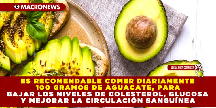 ES RECOMENDABLE COMER DIARIAMENTE 100 GRAMOS DE AGUACATE, PARA BAJAR LOS NIVELES DE COLESTEROL, GLUCOSA Y MEJORAR LA CIRCULACIÓN SANGUÍNEA