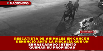 RESCATISTA DE ANIMALES EN CANCÚN DENUNCIÓ ANTE LA FISCALÍA QUE UN ENMASCARADO INTENTÓ QUEMAR SU PROPIEDAD
