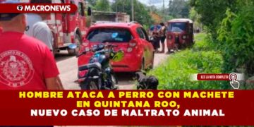 HOMBRE ATACA A PERRO CON MACHETE EN QUINTANA ROO, NUEVO CASO DE MALTRATO ANIMAL
