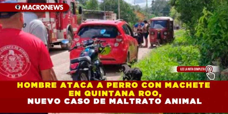 HOMBRE ATACA A PERRO CON MACHETE EN QUINTANA ROO, NUEVO CASO DE MALTRATO ANIMAL