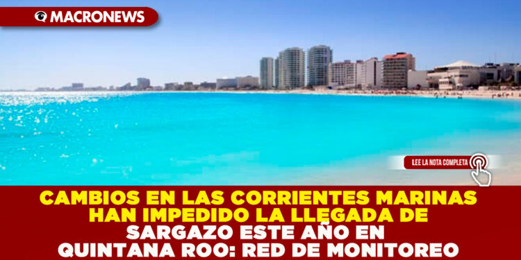 CAMBIOS EN LAS CORRIENTES MARINAS IMPIDIERON LA LLEGADA DE SARGAZO ESTE AÑO EN QUINTANA ROO, ATRIBUIBLES AL CALENTAMIENTO GLOBAL: RED DE MONITOREO