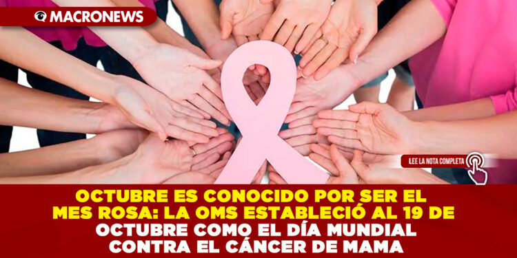 OCTUBRE ES CONOCIDO POR SER EL MES ROSA: LA OMS ESTABLECIÓ AL 19 DE OCTUBRE COMO EL DÍA MUNDIAL CONTRA EL CÁNCER DE MAMA
