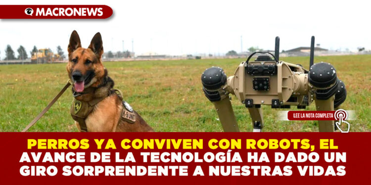 PERROS YA CONVIVEN CON ROBOTS, EL AVANCE DE LA TECNOLOGÍA HA DADO UN GIRO SORPRENDENTE A NUESTRAS VIDAS