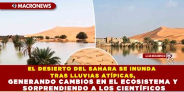 EL DESIERTO DEL SAHARA SE INUNDA TRAS LLUVIAS ATÍPICAS, GENERANDO CAMBIOS EN EL ECOSISTEMA Y SORPRENDIENDO A LOS CIENTÍFICOS