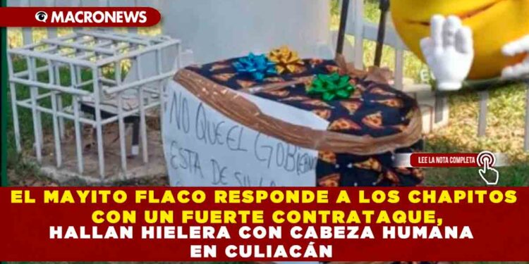 EL MAYITO FLACO RESPONDE A LOS CHAPITOS CON UN FUERTE CONTRATAQUE, HALLAN HIELERA CON CABEZA HUMANA EN CULIACÁN
