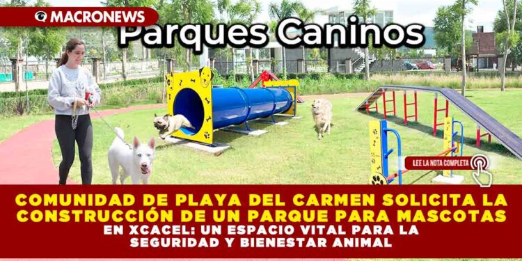 COMUNIDAD DE PLAYA DEL CARMEN SOLICITA LA CONSTRUCCIÓN DE UN PARQUE PARA MASCOTAS EN XCACEL: UN ESPACIO VITAL PARA LA SEGURIDAD Y BIENESTAR ANIMAL