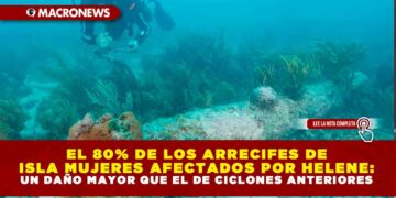 EL 80% DE LOS ARRECIFES DE ISLA MUJERES AFECTADOS POR HELENE: UN DAÑO MAYOR QUE EL DE CICLONES ANTERIORES