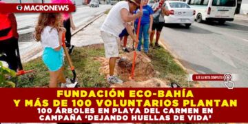 FUNDACIÓN ECO-BAHÍA Y MÁS DE 100 VOLUNTARIOS PLANTAN 100 ÁRBOLES EN PLAYA DEL CARMEN EN CAMPAÑA ‘DEJANDO HUELLAS DE VIDA’