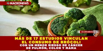 MÁS DE 17 ESTUDIOS VINCULAN EL CONSUMO DE BRÓCOLI CON UN MENOR RIESGO DE CÁNCER DE PULMÓN, COLON Y MAMA