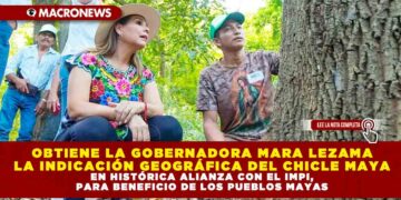 OBTIENE LA GOBERNADORA MARA LEZAMA LA INDICACIÓN GEOGRÁFICA DEL CHICLE MAYA EN HISTÓRICA ALIANZA CON EL IMPI, PARA BENEFICIO DE LOS PUEBLOS MAYAS