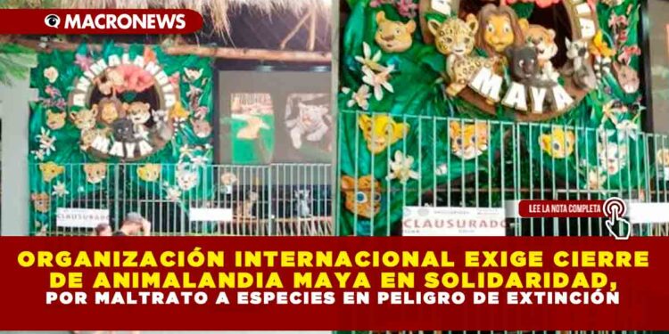 ORGANIZACIÓN INTERNACIONAL EXIGE CIERRE DE ANIMALANDIA MAYA EN SOLIDARIDAD, POR MALTRATO A ESPECIES EN PELIGRO DE EXTINCIÓN