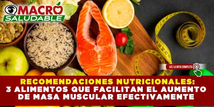 RECOMENDACIONES NUTRICIONALES: 3 ALIMENTOS QUE FACILITAN EL AUMENTO DE MASA MUSCULAR EFECTIVAMENTE