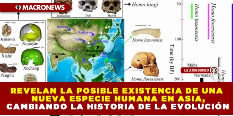 REVELAN LA POSIBLE EXISTENCIA DE UNA NUEVA ESPECIE HUMANA EN ASIA, CAMBIANDO LA HISTORIA DE LA EVOLUCIÓN