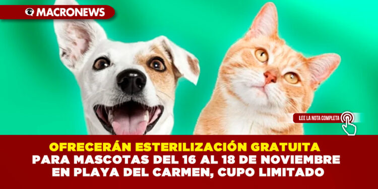 OFRECERÁN ESTERILIZACIÓN GRATUITA PARA MASCOTAS DEL 16 AL 18 DE NOVIEMBRE EN PLAYA DEL CARMEN, CUPO LIMITADO