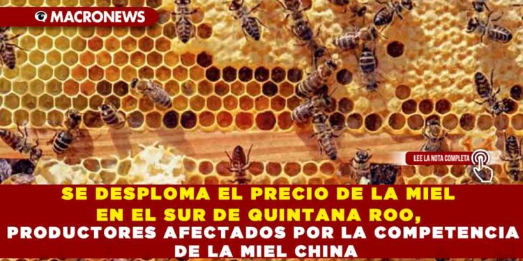 SE DESPLOMA EL PRECIO DE LA MIEL EN EL SUR DE QUINTANA ROO, PRODUCTORES AFECTADOS POR LA COMPETENCIA DE LA MIEL CHINA