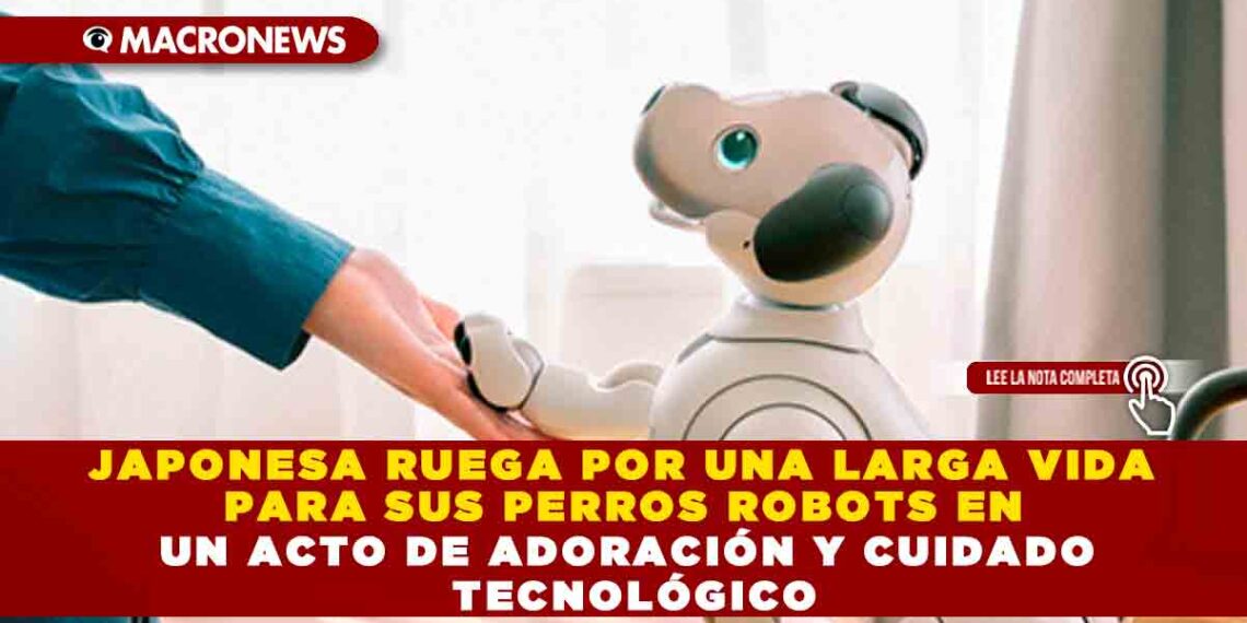 JAPONESA RUEGA POR UNA LARGA VIDA PARA SUS PERROS ROBOTS EN UN ACTO DE ADORACIÓN Y CUIDADO TECNOLÓGICO
