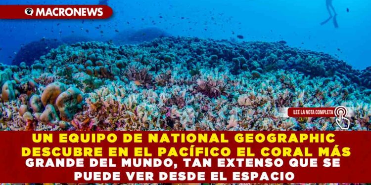 UN EQUIPO DE NATIONAL GEOGRAPHIC DESCUBRE EN EL PACÍFICO EL CORAL MÁS GRANDE DEL MUNDO, TAN EXTENSO QUE SE PUEDE VER DESDE EL ESPACIO