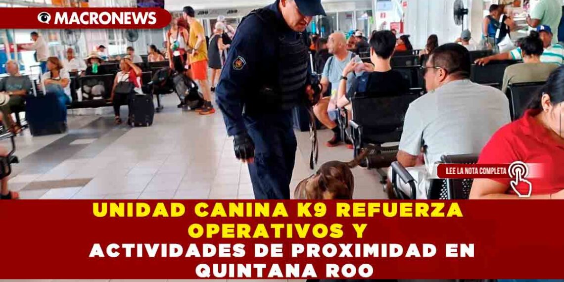 UNIDAD CANINA K9 REFUERZA OPERATIVOS Y ACTIVIDADES DE PROXIMIDAD EN QUINTANA ROO