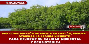 POR CONSTRUCCIÓN DE PUENTE EN CANCÚN, BUSCAN OXIGENAR LA LAGUNA NICHUPTÉ PARA MEJORAR SU CALIDAD AMBIENTAL Y ECOSISTÉMICA