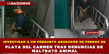 INVESTIGAN A UN PRESUNTO ABUSADOR DE PERROS EN PLAYA DEL CARMEN TRAS DENUNCIAS DE MALTRATO ANIMAL