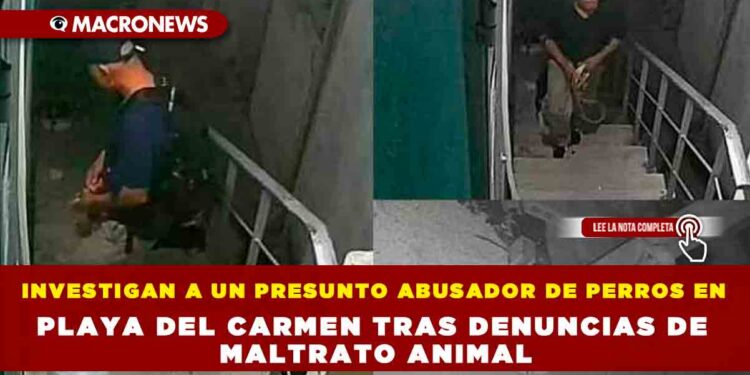 INVESTIGAN A UN PRESUNTO ABUSADOR DE PERROS EN PLAYA DEL CARMEN TRAS DENUNCIAS DE MALTRATO ANIMAL