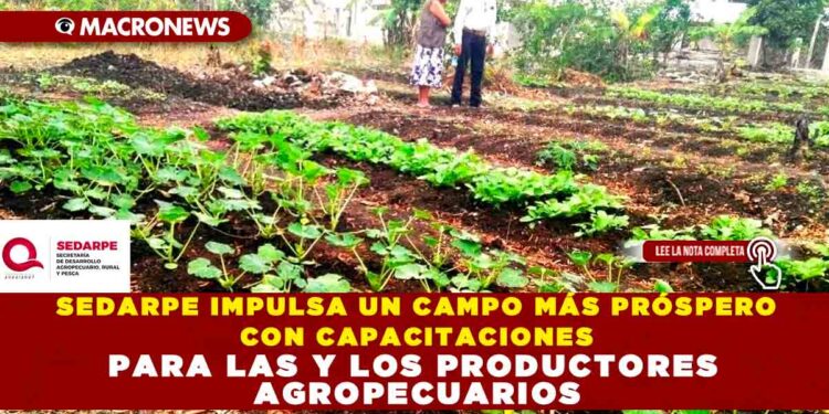 SEDARPE IMPULSA UN CAMPO MÁS PRÓSPERO CON CAPACITACIONES PARA LAS Y LOS PRODUCTORES AGROPECUARIOS