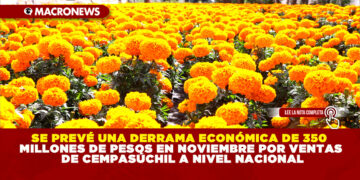 SE PREVÉ UNA DERRAMA ECONÓMICA DE 350 MILLONES DE PESOS EN NOVIEMBRE POR VENTAS DE CEMPASÚCHIL A NIVEL NACIONAL