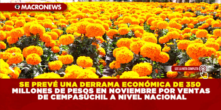 SE PREVÉ UNA DERRAMA ECONÓMICA DE 350 MILLONES DE PESOS EN NOVIEMBRE POR VENTAS DE CEMPASÚCHIL A NIVEL NACIONAL