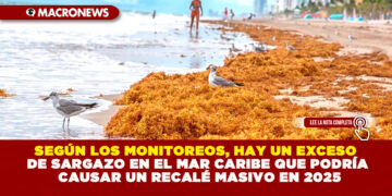 SEGÚN LOS MONITOREOS, HAY UN EXCESO DE SARGAZO EN EL MAR CARIBE QUE PODRÍA CAUSAR UN RECALÉ MASIVO EN 2025