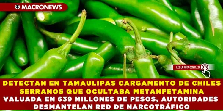 DETECTAN EN TAMAULIPAS CARGAMENTO DE CHILES SERRANOS QUE OCULTABA METANFETAMINA VALUADA EN 639 MILLONES DE PESOS, AUTORIDADES DESMANTELAN RED DE NARCOTRÁFICO