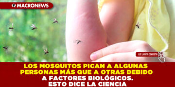 LOS MOSQUITOS PICAN A ALGUNAS PERSONAS MÁS QUE A OTRAS DEBIDO A FACTORES BIOLÓGICOS. ESTO DICE LA CIENCIA