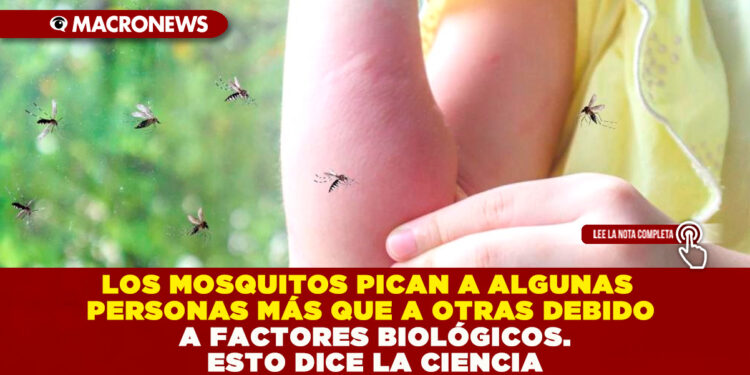 LOS MOSQUITOS PICAN A ALGUNAS PERSONAS MÁS QUE A OTRAS DEBIDO A FACTORES BIOLÓGICOS. ESTO DICE LA CIENCIA