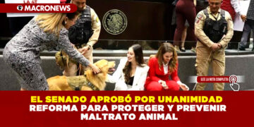 EL SENADO APROBÓ POR UNANIMIDAD REFORMA PARA PROTEGER Y PREVENIR MALTRATO ANIMAL