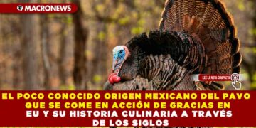 EL POCO CONOCIDO ORIGEN MEXICANO DEL PAVO QUE SE COME EN ACCIÓN DE GRACIAS EN EU Y SU HISTORIA CULINARIA A TRAVÉS DE LOS SIGLOS